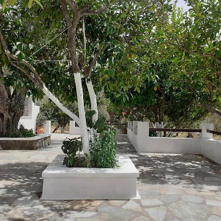 Villa Tillia Panormos  Esterno foto