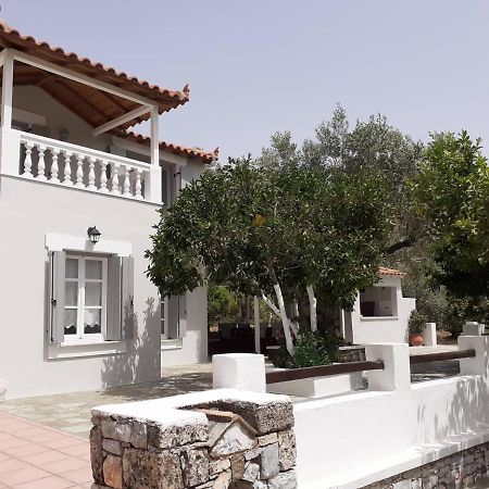 Villa Tillia Panormos  Esterno foto