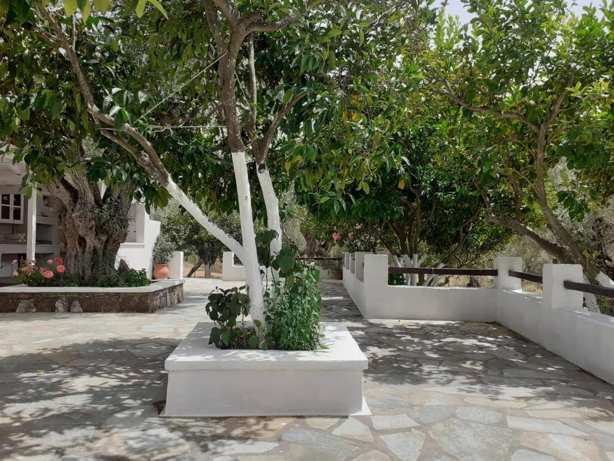 Villa Tillia Panormos  Esterno foto