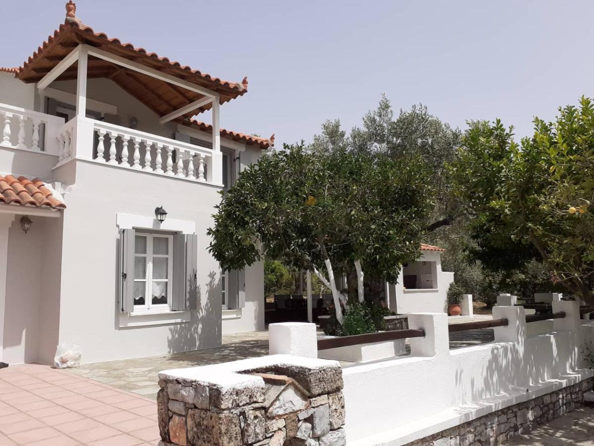 Villa Tillia Panormos  Esterno foto