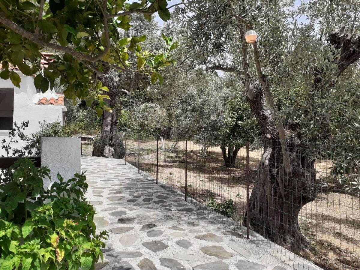 Villa Tillia Panormos  Esterno foto