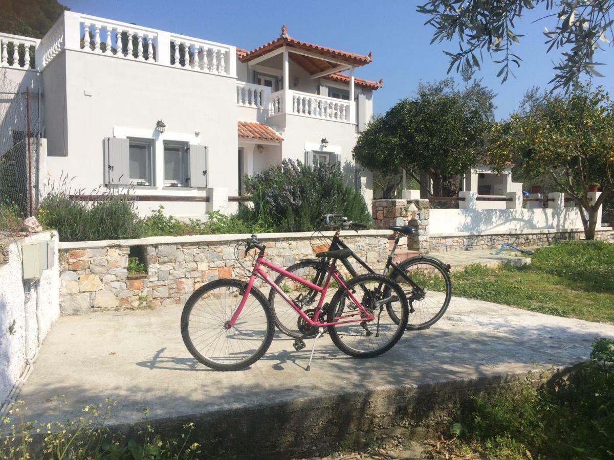 Villa Tillia Panormos  Esterno foto