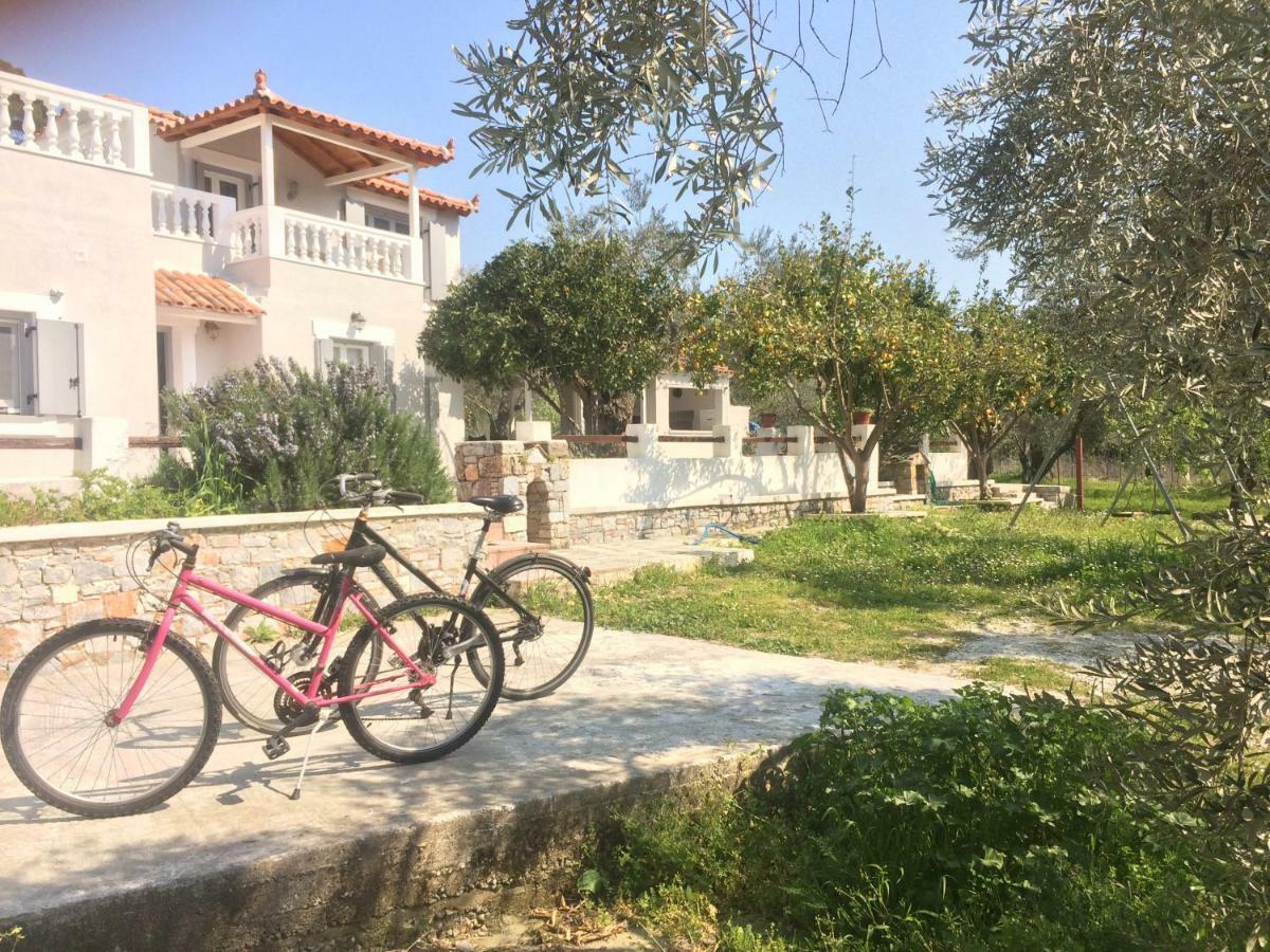 Villa Tillia Panormos  Esterno foto
